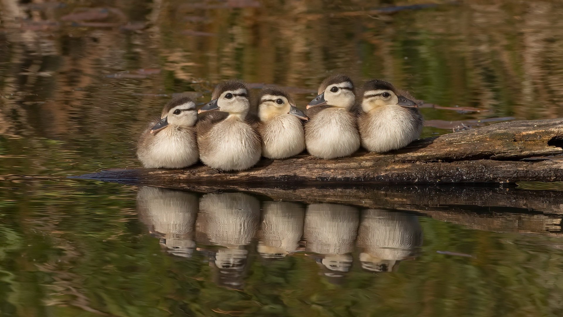 kaiyun官方入口登录-【战术艺术】马克·塞尔比：用细腻的防守策略赢得胜利，马克塞尔比厉害吗
