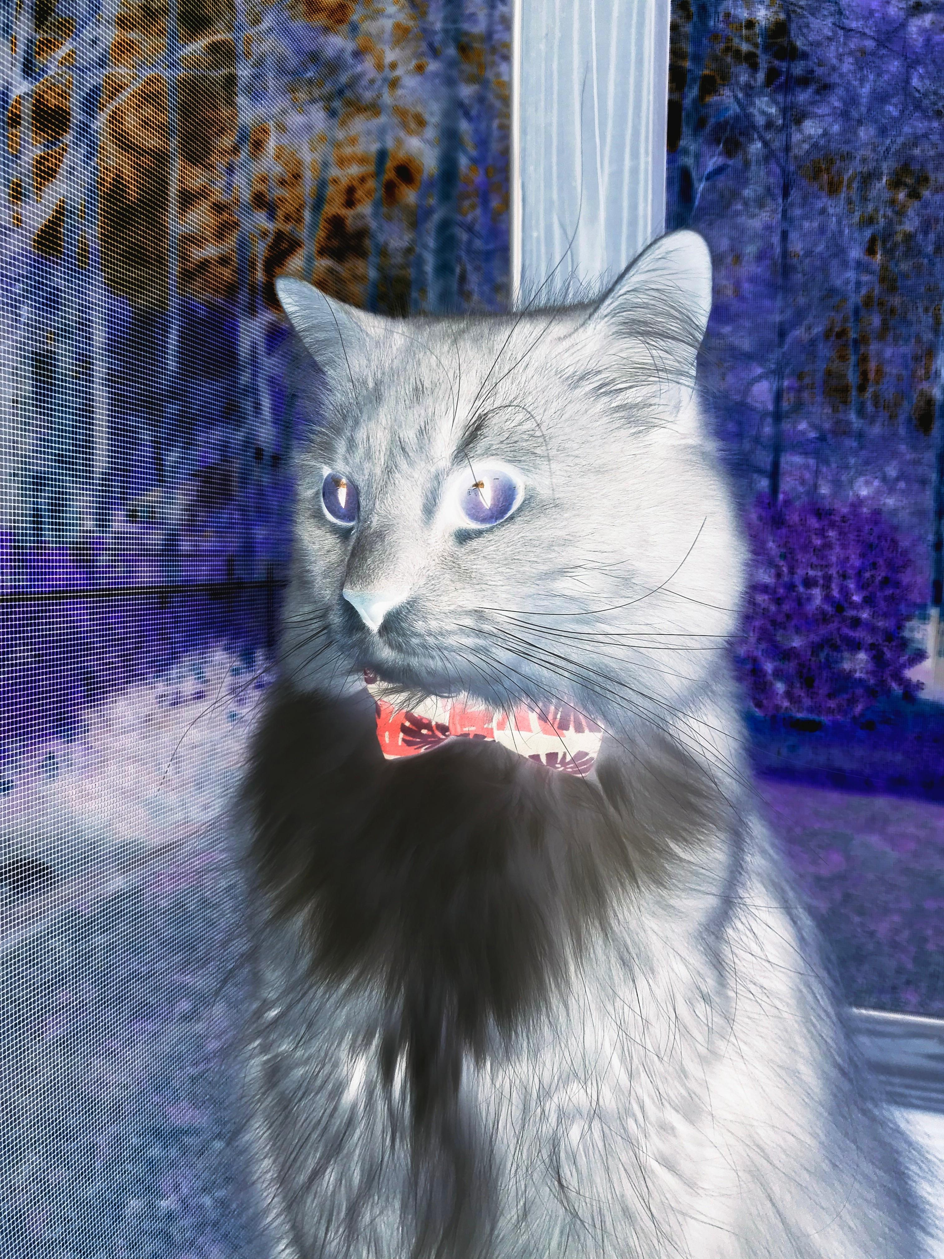 农村足球“特色”发展,助力乡村振兴战略深入落实,村级足球场 乡村振兴