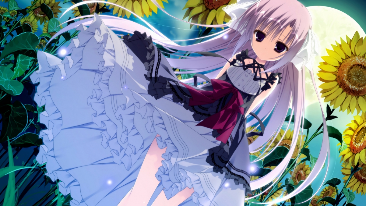 布鲁诺·卡博克洛在NBA夏季联赛中展现篮板能力,布鲁诺卡波科洛 2kol2