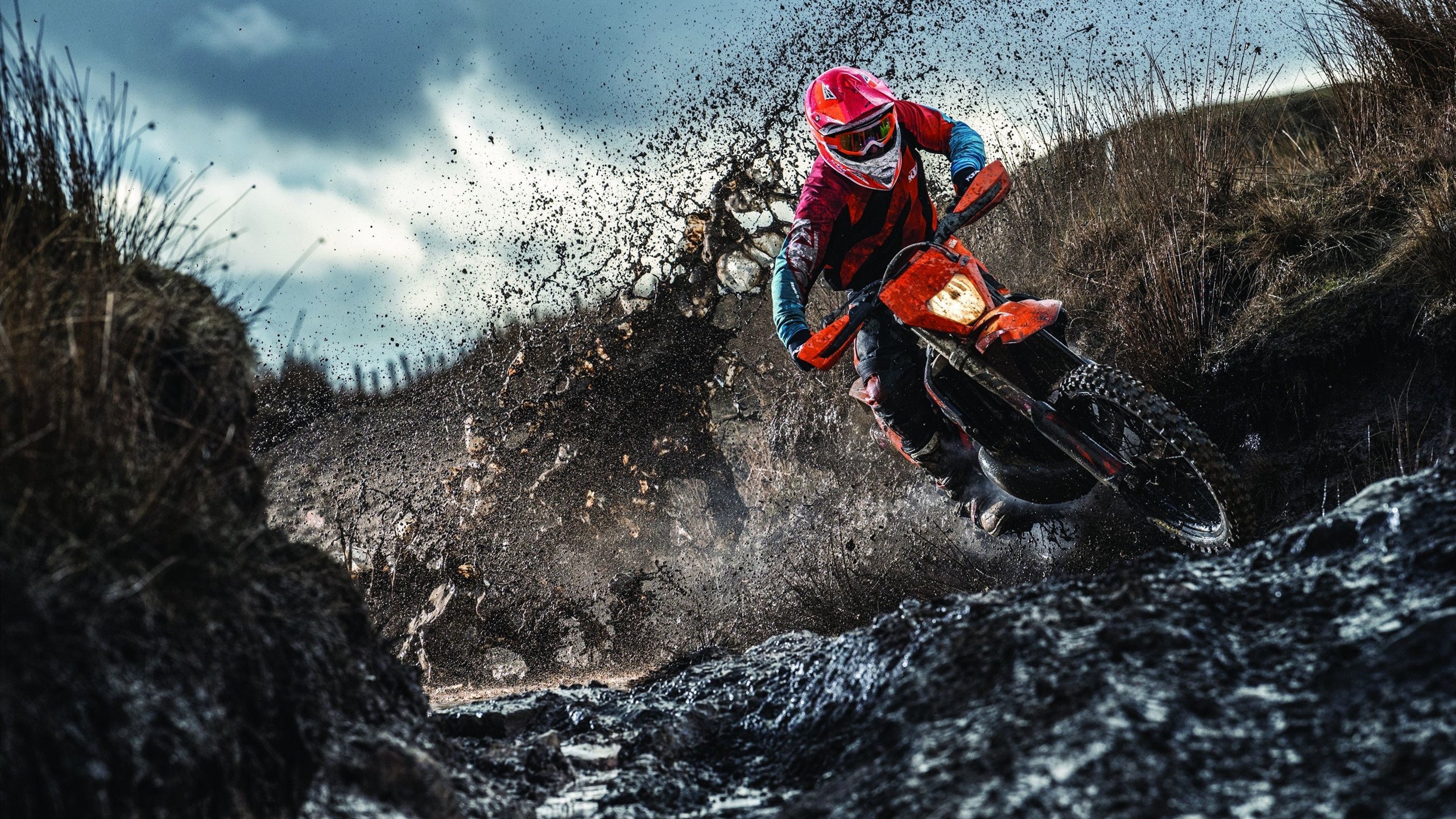 特色乡村自行车骑行,感受田园风光的静谧与美丽,乡村自行车图片