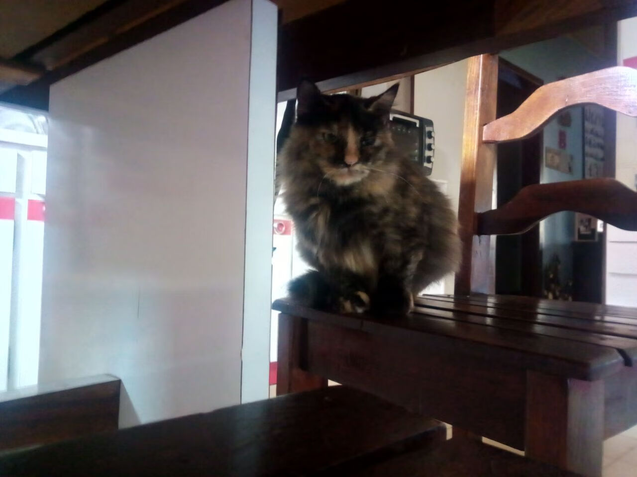 电子竞技模拟比赛，虚拟世界的真实激斗，电子竞技模拟比赛,虚拟世界的真实激斗游戏