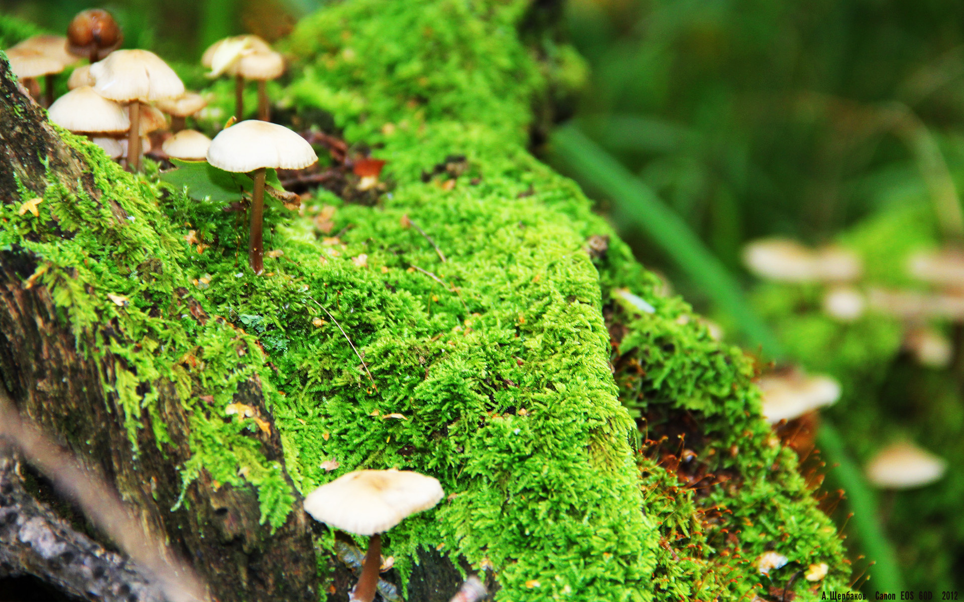 Kaiyun APP-青少年篮球运动员国际交流项目持续拓展，开启全球视野，青少年篮球协会