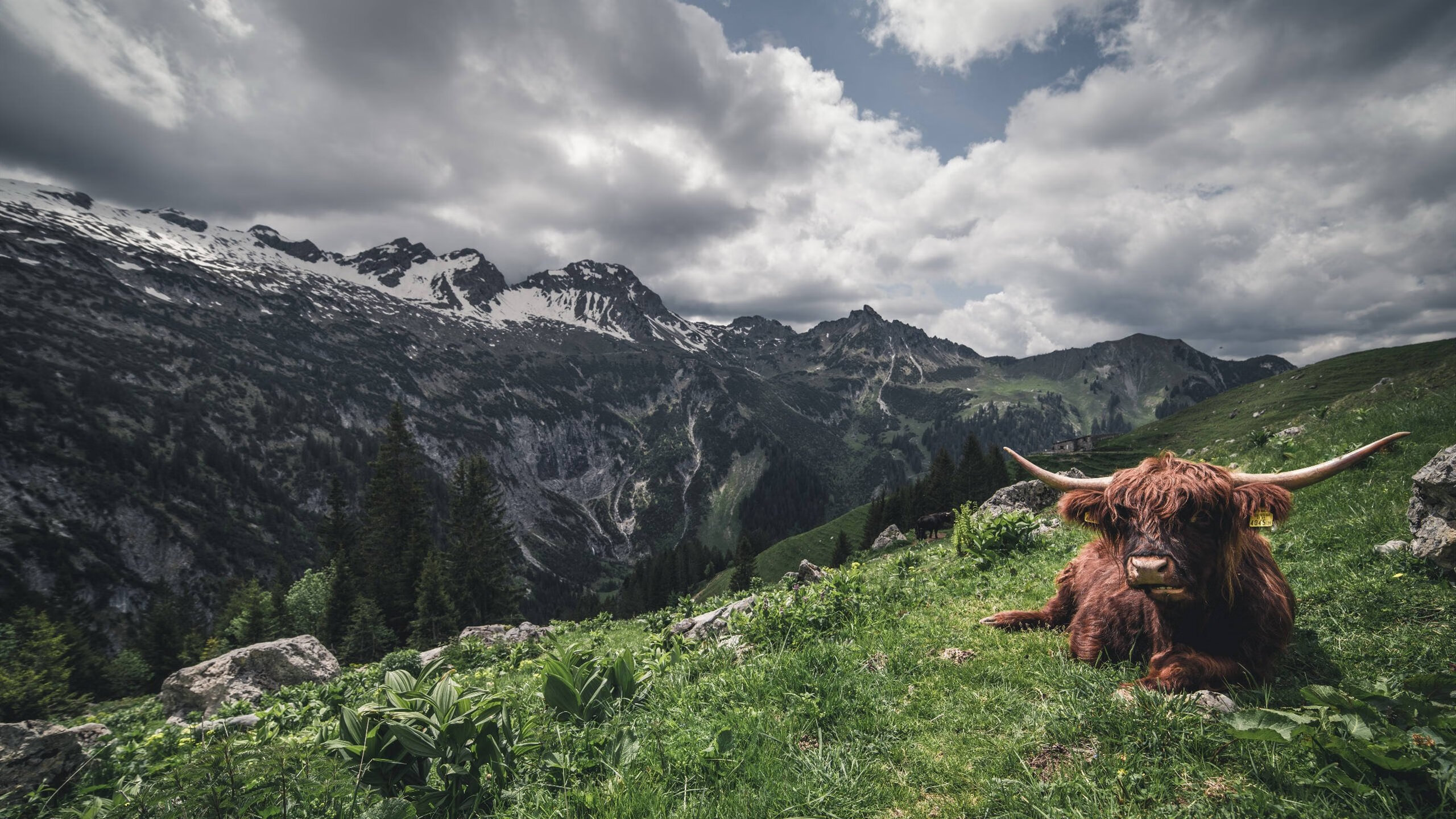 东京FC蓄势待发,为争取下一轮晋级而战,日本fc东京