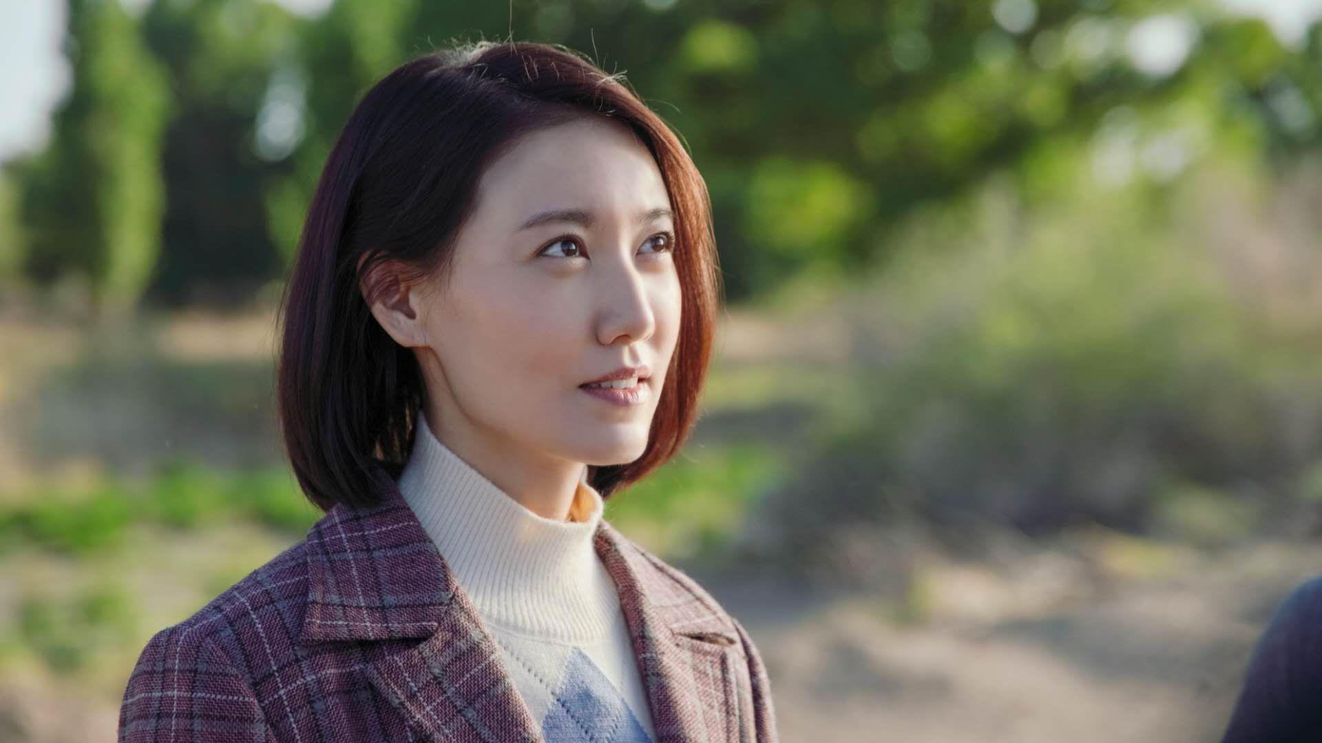 东南亚巡回赛:胜者为王夺冠殊荣,东南亚联赛